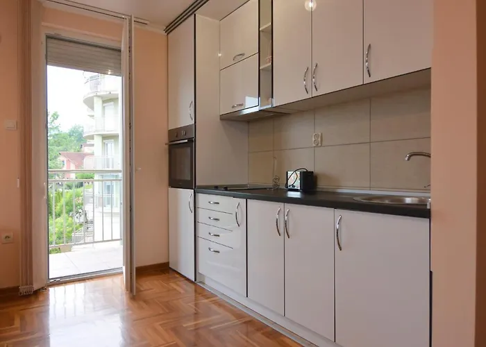 公寓 Neda - 5 Minuta Od Centra