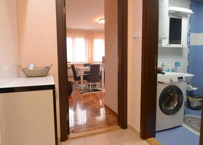 Neda - 5 Minuta Od Centra 公寓 Vrnjačka Banja